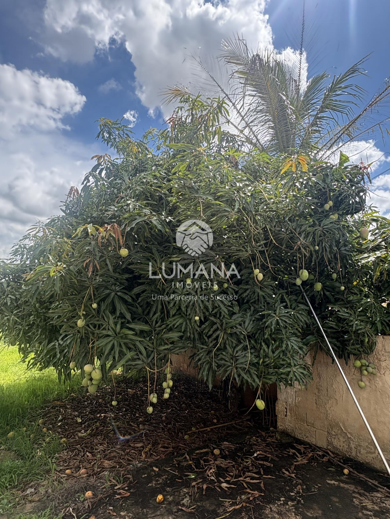 PRÓXIMA A LAGOA CENTRAL