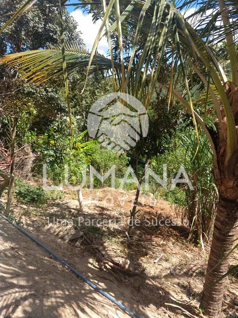 CHÁCARA EM TAQUARAÇU DE MINAS — foto 35 — Fazenda Da Mumbuca, Taquaraçu De Minas, MG